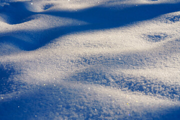 Blue shadows of trees on fresh white snow surface in winter