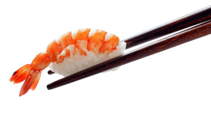 A single piece of shrimp sushi held by chopsticks.  The shrimp is a vibrant orange-red and sits atop a bed of white rice.  