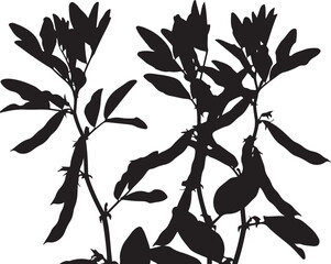 Black Silhouette of Tropical vendy tree Leaves