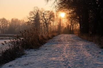 Zimowy wschód słońca nad zamarzniętym stawem © Elżbieta Kaps