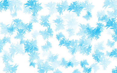 Ice. Fern Frost. Crystal. An isolated PNG of branching fern-like ice crystals and frost patterns on a transparent background for winter window decoration or frozen atmosphere concepts.