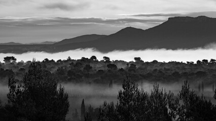 Paysage dans la brume