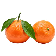 Two Ripe Mandarin Oranges with Wet Green Leaves Isolated