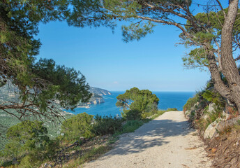 rail on the heights with Mediterranean pine overlooking the sea in Apulia in Italy