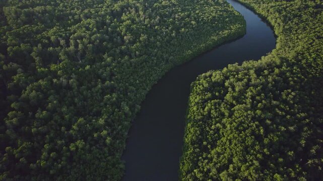 Aerial drone footage diving on a dark blue river branch, passing thru a wild green forest in Malaka regency, Timor island, Indonesia