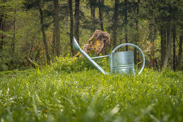 watering can in garden © Yaroslav