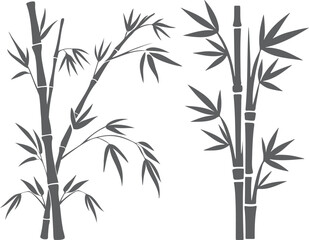 Naklejka premium Gray bamboo stalks with leaves on white background plant