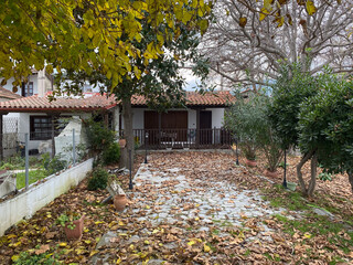 Rustic cottage with leaf-covered pathway and autumn trees in tranquil garden setting