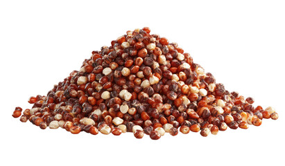 Pile of mixed-colored seeds