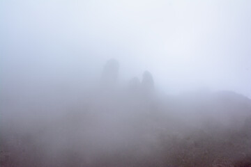 Obraz premium Karst mountains with rocks and trees in the fog in Montserrat national park, Catalonia, Spain 