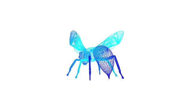 Abstract Blue Wireframe Bee Animation with Glowing Particles and White Background Representing Digital Art and Insectoid Forms