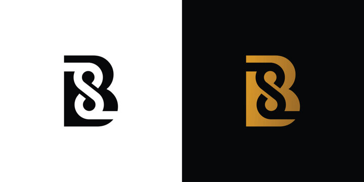 Modern and unique letter BS initials logo design