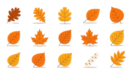 A collection of vibrant autumn leaves in various shades of orange and yellow on a black background
