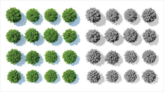 Realistic 3D top view trees. Perfect for landscape architecture and design layouts..eps