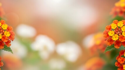 Beautiful lantana camara flowers in full bloom with vibrant orange and yellow petals