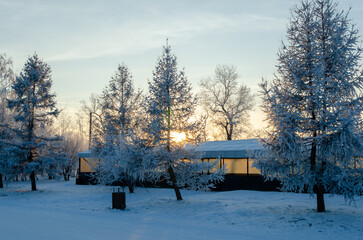 Snow-covered trees and single-story house bathed in sunset glow across frozen winter field, capturing rural serenity and golden hour tranquility. Seasonal countryside and nature landscape themes.