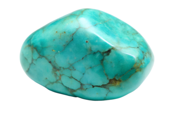 A polished turquoise stone with a smooth surface and visible brown veins, set against a plain white background.
