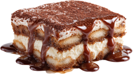 Tiramisu Italian dessert isolated on a white background.