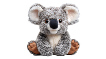 Koala plush toy isolated on a white background
