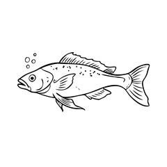 Fototapeta premium Detailed engraving drawing presents reef fish sketch, scales and fins. Hand drawn aquatic creature illustration, perfect reef fish sketch marine life study. Versatile reef fish sketch for education.