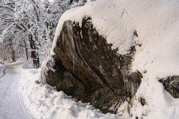 The view of cleaned of snow pedestrian walking path on winter day. Nobody on the road nearby the snowy forest. Large snowdrifts. Big stone cliff on the right side.