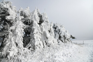Wei&szlig;e Winterlandschaft