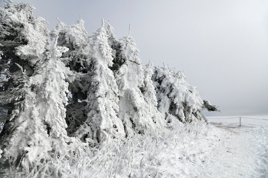 Wei&szlig;e Winterlandschaft