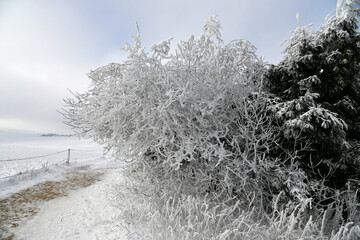Wei&szlig;e Winterlandschaft