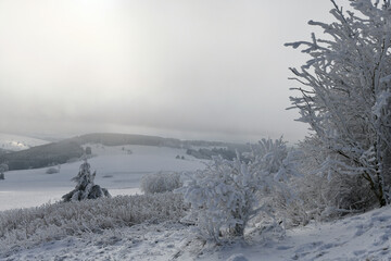 Wei&szlig;e Winterlandschaft