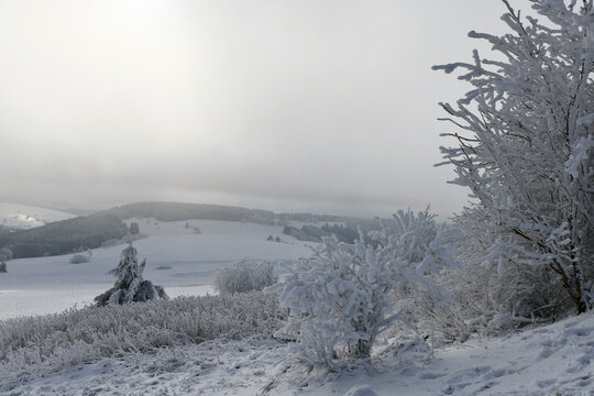 Wei&szlig;e Winterlandschaft