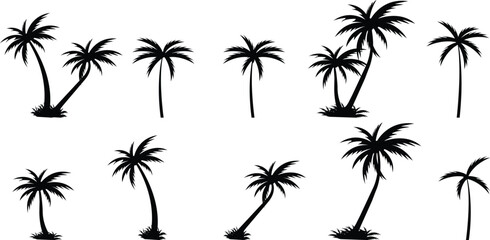Tropical palm tree and leaf silhouette set. Black palm tree collection. Design of palm trees for posters, banners and promotional and decoration items group. Vector