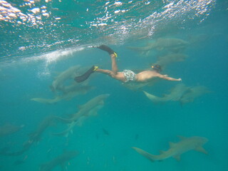 Snorkeling with nurse sharks in crystal clear waters of Vaavu Atoll, Maldives, peaceful underwater encounter with marine wildlife in a tropical Indian Ocean paradise