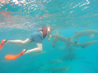 Snorkeling with nurse sharks in crystal clear waters of Vaavu Atoll, Maldives, peaceful underwater encounter with marine wildlife in a tropical Indian Ocean paradise