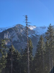 Tatry Wysokie - Polska - panorama na góy od strony Polskiej. © Konrad