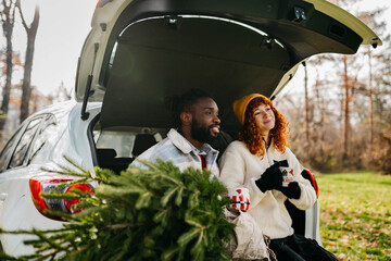 We've found the perfect Christmas tree