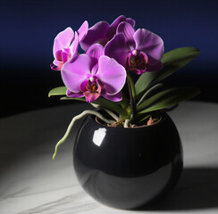 purple orchid in a vase. purple orchid in a vase. Beautiful Purple Orchid. Home plant care. High quality photo