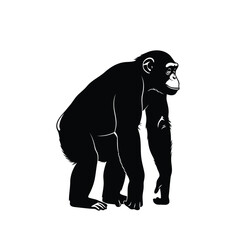 Obraz premium A black gorilla stands on all fours in a simple illustration viewed from the side.