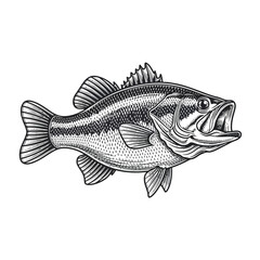 Fototapeta premium Detailed illustration of a largemouth bass fish with open mouth and sharp teeth, showcasing its scales and fins in a side view