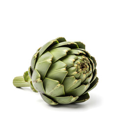 Fototapeta premium Fresh artichoke on white background