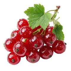 A vibrant cluster of red currants with green leaves on a black background isolated on transparent background