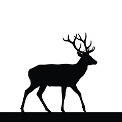 Obraz premium A majestic stag silhouette walking alone on a forest path, viewed from the side in a serene environment