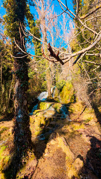 Serene forest landscape with a stream flowing through the woods near the Fuentetoba natural monument in Soria, Spain. Sunlight filters through the trees on a peaceful winter day.