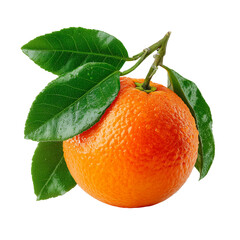 A vibrant orange with green leaves on a black background isolated on transparent background