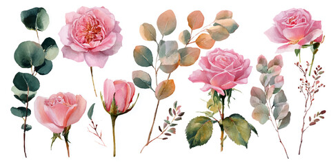 A collection of beautifully illustrated pink roses and eucalyptus leaves in a soft watercolor style, perfect for floral designs and wedding invitations.
