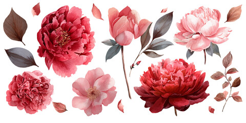 A beautiful illustration featuring various shades of pink peonies and delicate leaves, perfect for floral designs, greeting cards, or decorative art. © DARK TRUST