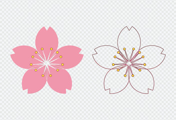 Fototapeta premium Beautiful pink cherry blossom flower illustration with outline and colorful details