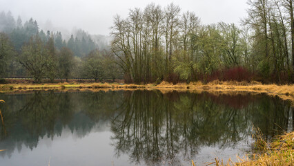 Obraz premium Rainy Day at Trojan Lake State Park at Trojan Nuclear Facility, near Rainier, Oregon 