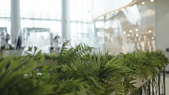 Lush indoor greenery with ferns and foliage lines a modern atrium as soft daylight filters through glass, with escalators and curved architecture shaping a bright public space