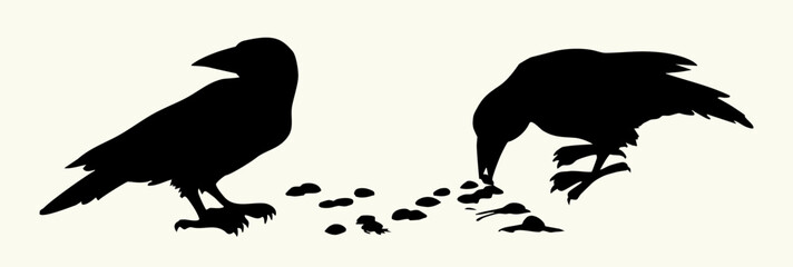 Obraz premium Vector drawing. Old big crow