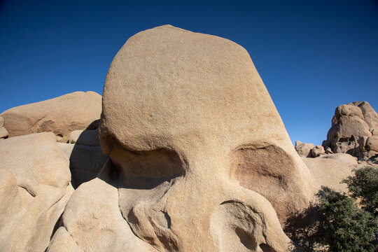 Skull rock at Joshua tree national Park, California, United States